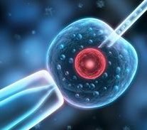 泰国三代试管婴儿成功率有多少？