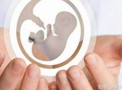 新加坡单身三代试管婴儿全攻略，从签证到验孕，一站式流程深度解析