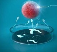 2026年在北京哪家私立机构做三代试管不排队？