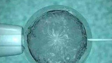 2026年哈尔滨市红十字中心医院三代试管攻略，附详细流程与注意事项